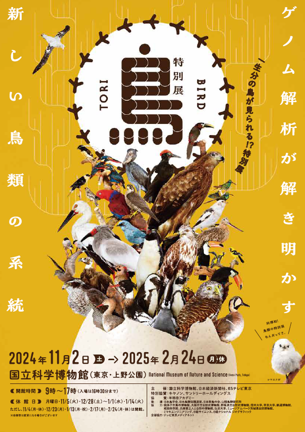 ✨開催予告✨
━━━━━━━━
　特別展「鳥」
━━━━━━━━

◆会期：11月2日(土)～2025年2月24日(月・休)
◆場所：#国立科学博物館 (上野)

科博初‼️鳥類がテーマの特別展🕊️

600点以上の貴重な鳥標本やゲノム解析による最新の研究成果を通して、鳥類をご紹介します♪

https://t.co/OXnqkrvEph 