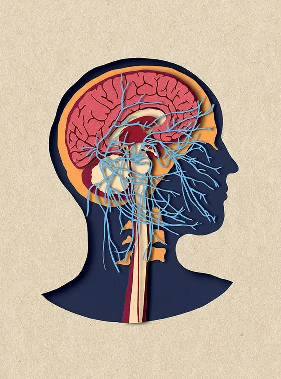 Parasympathetic Activation is the best way to rewire your brain from shame, heal stored trauma, and restore your nervous system to optimal health.

Here’s what it is and how to do it:🧵 