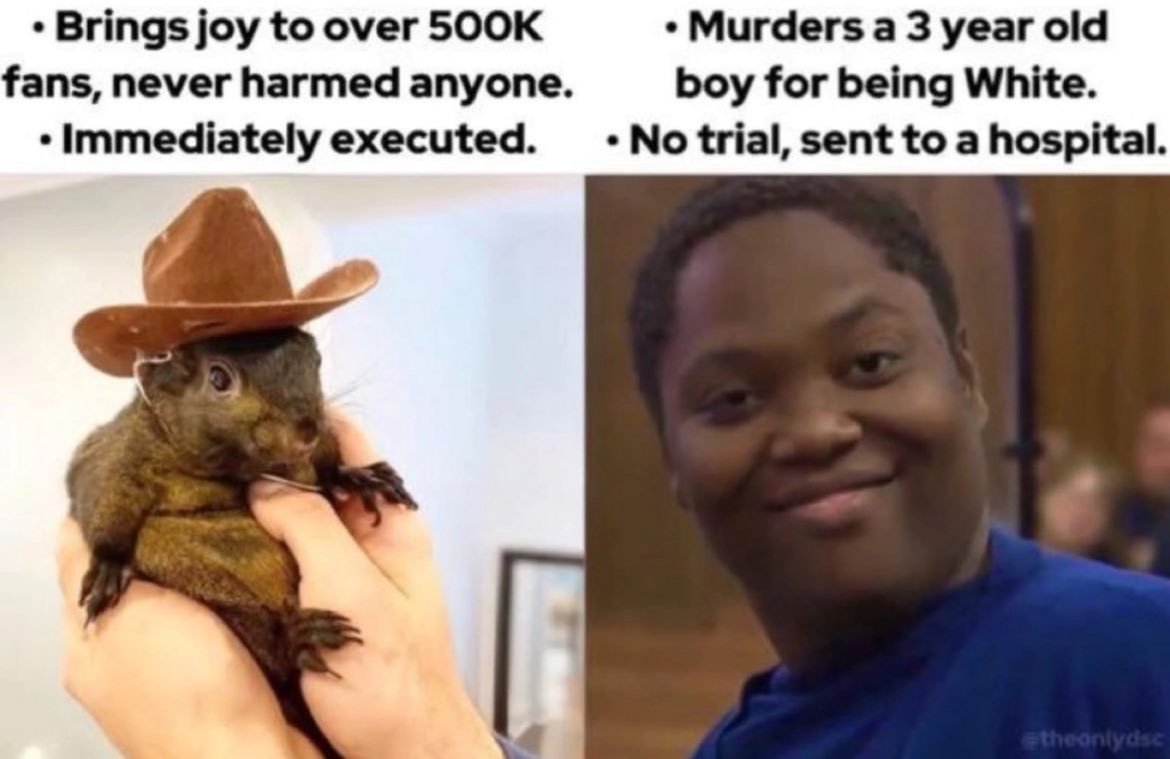 Why has the Peanut the Squirrel thing exploded on here?

Because it's the perfect anarchotyranny tale. The system that refuses to lock up murderers will send a SWAT team to kill your pet for lack of a permit

As the anarchotyranny situation is about to explode, this did too 🧵👇 