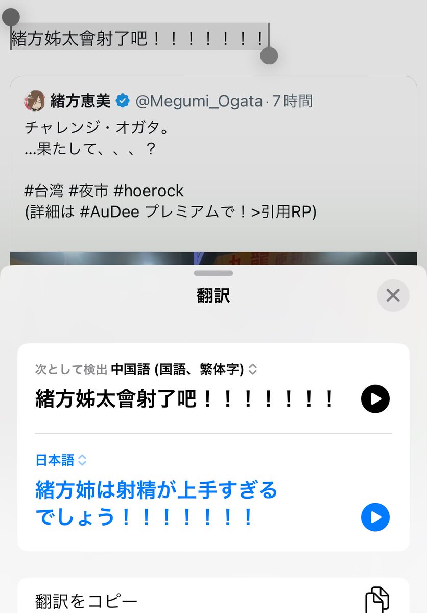 この翻訳は、、、あってるのか、、、？ 