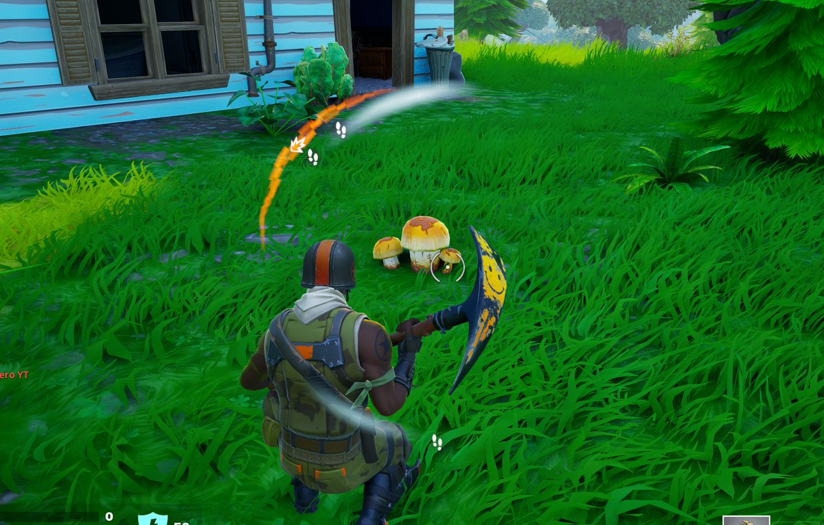 Yo @LachlanYT they didnt bring back OG mushroom :( 
