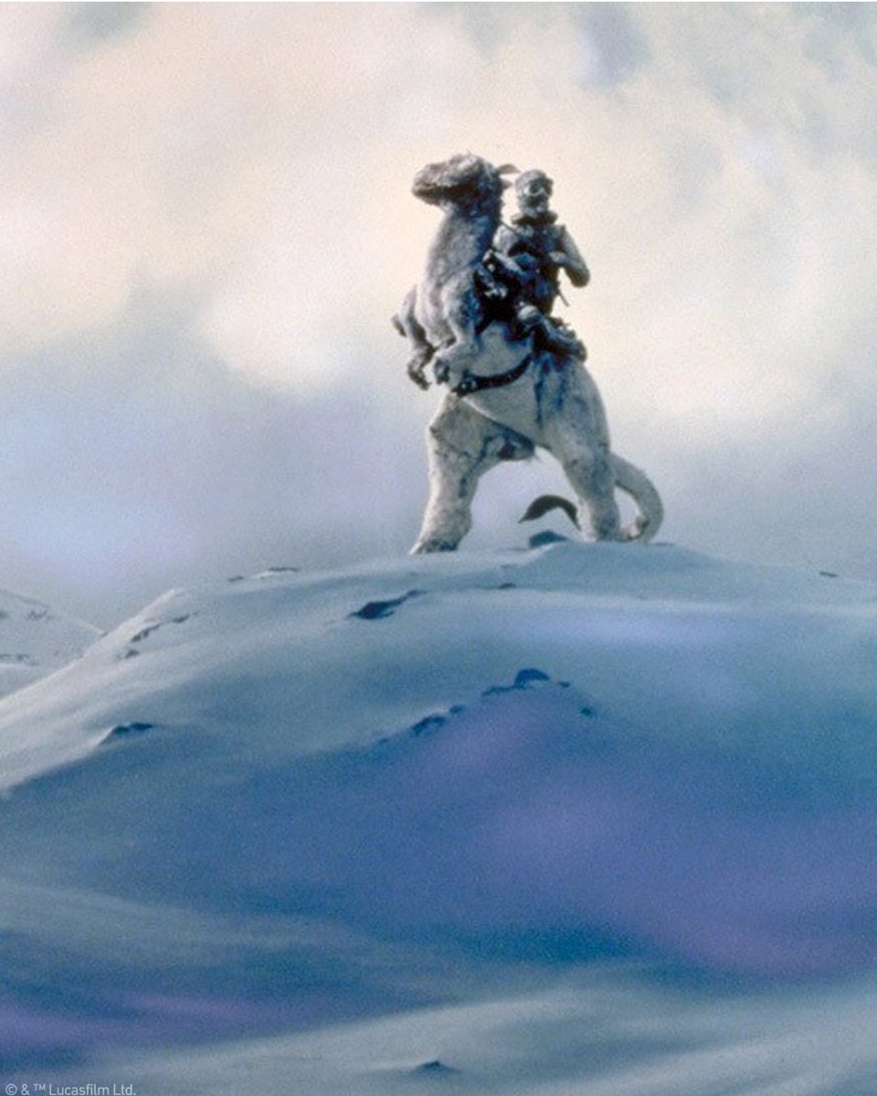 HO-HO-HOTH 🎅 