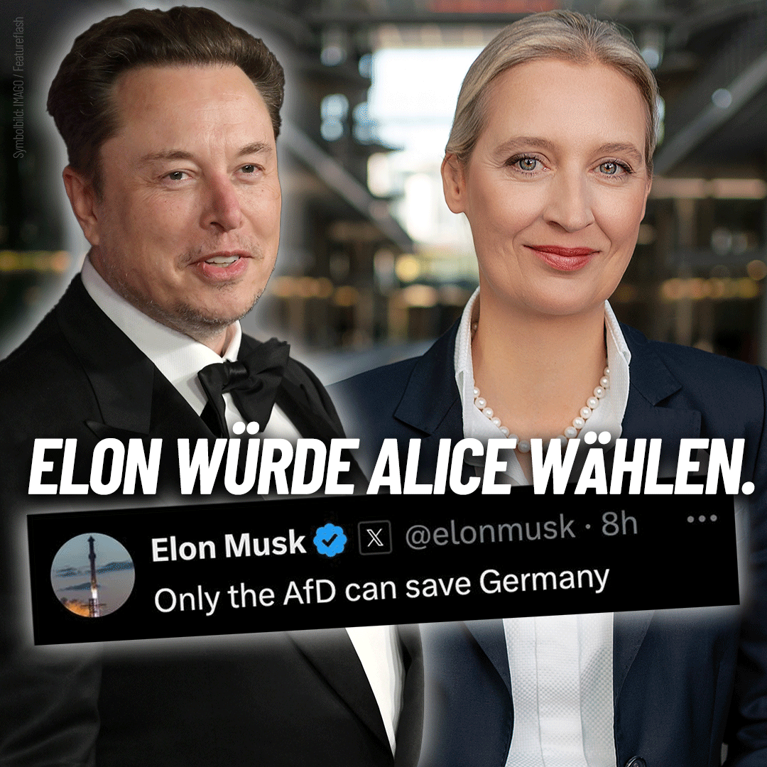 Elon #Musk würde #AfD wählen! Und Du? #AliceFuerDeutschland #DeshalbAfD 
