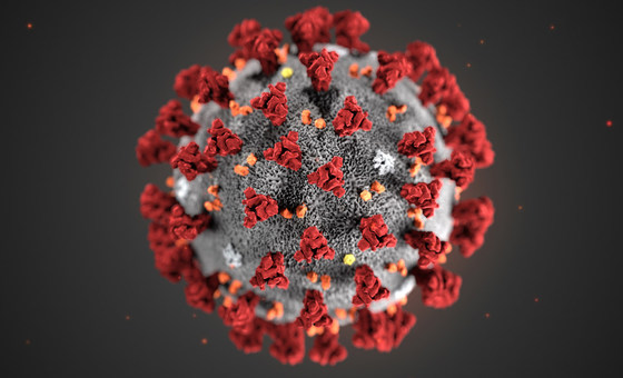 🚨IMPORTANTE🚨

Poco ruido ha generado la publicación del informe sobre el coronavirus por la Cámara de Representantes de Estados Unidos. O mejor dicho, poco se ha querido hablar de ello.

Comparte para llegar a más gente. 
 
Dentro 🧵: 
