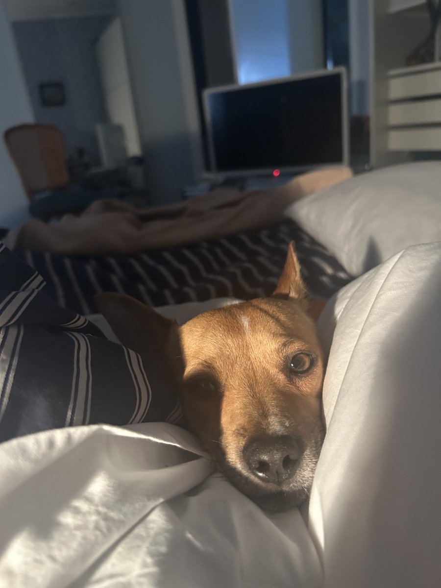 Todos los días me despierto así… nadie me había mirado con tanto amor ❤️ 