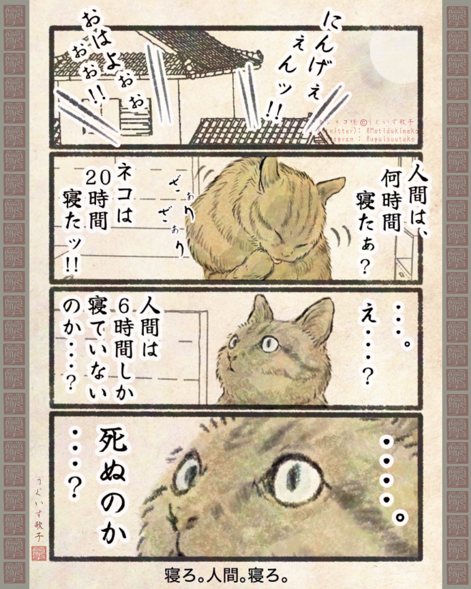 ネコ。まんが。まとめ。パートスリー。
01。 