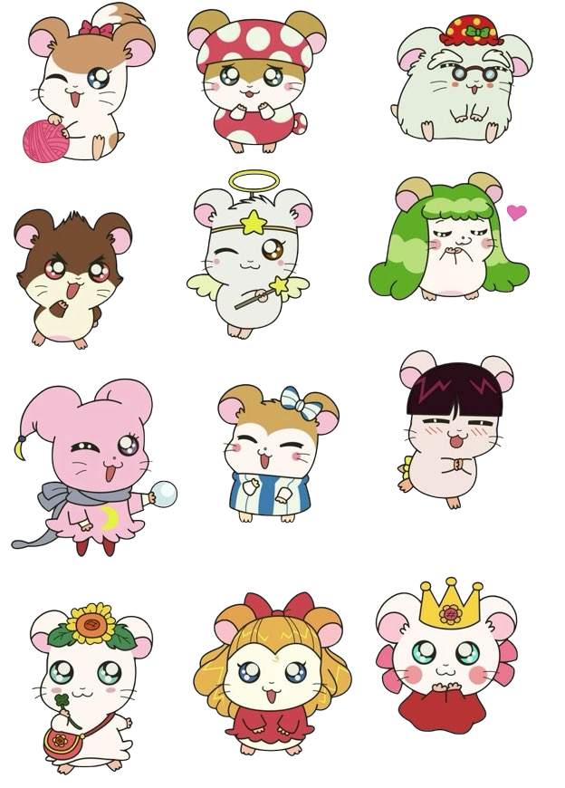 写真加工に使う子たち🐹🎀 