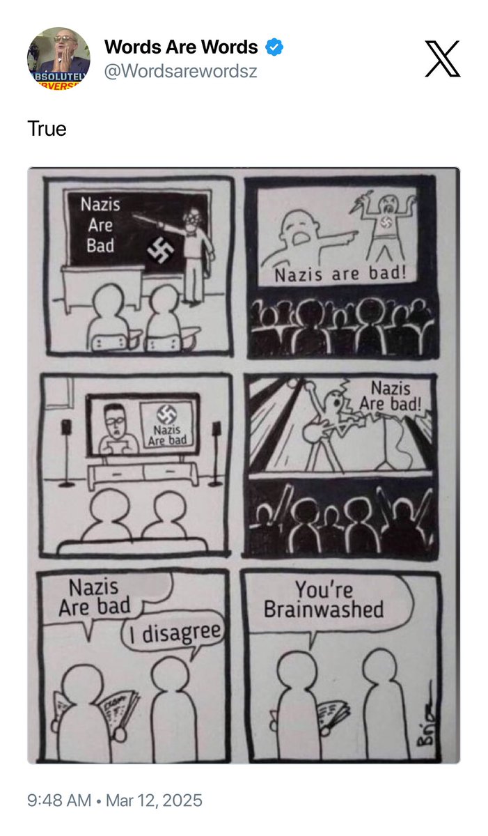 nazis are, in fact, bad. 