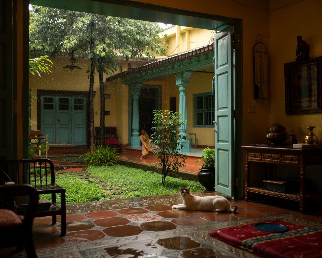 Modern Houses don’t smell like rain. 