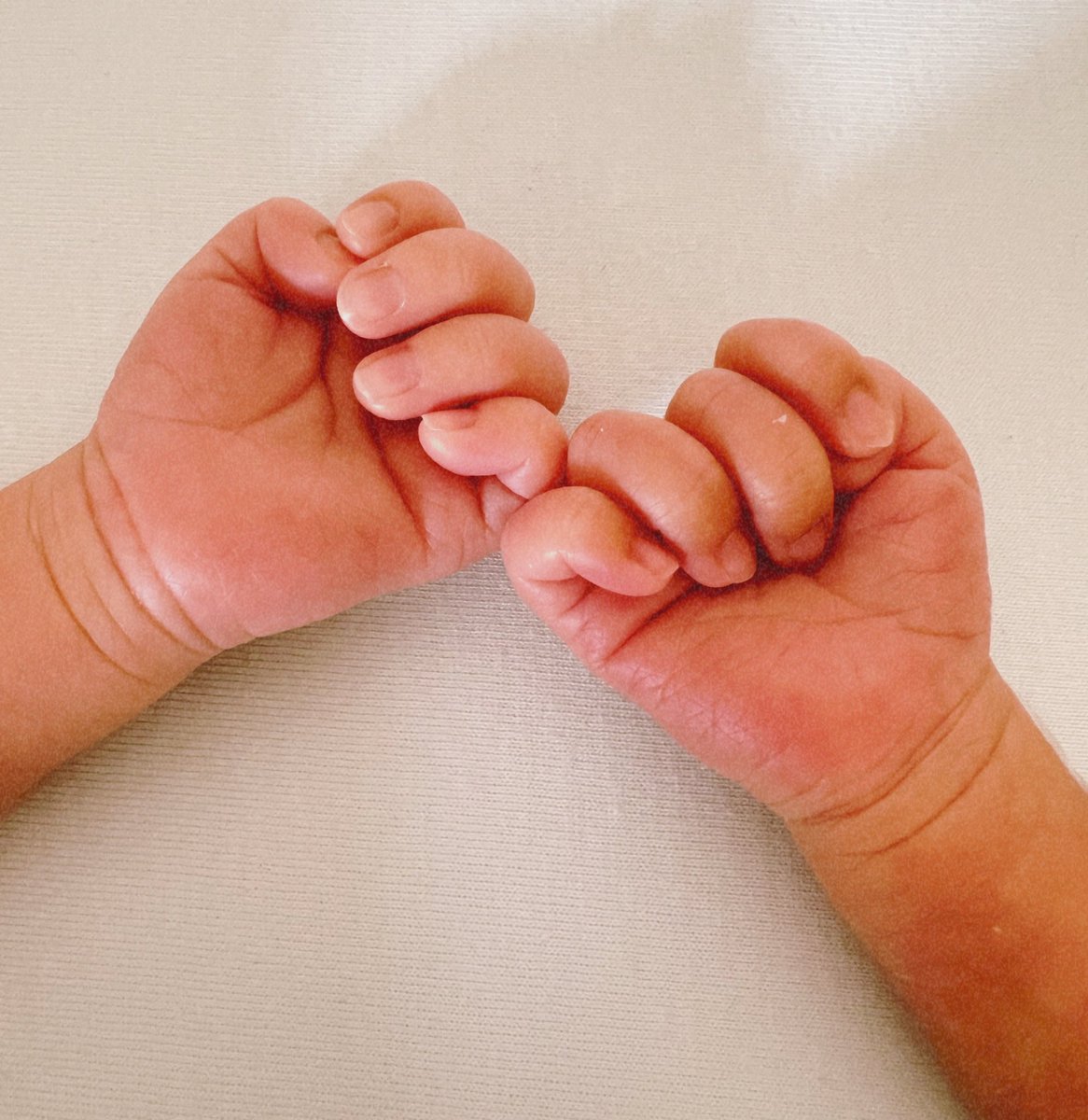 ご報告です。
桜が満開の、よく晴れた日に双子を出産しました。
小さなふたりに毎日癒されながら、幸せな時間を過ごしています。
支えてくださった皆さま、本当にありがとうございます。
これからもあたたかく見守っていただけたら嬉しいです🌸🌸 