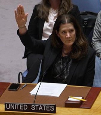Another blood-soaked hand is raised. For the 5th time since the current wave of genocide in Palestine began, the US has again vetoed a ceasefire in the UN Security Council. For those still claiming that  the US is trying to negotiate a ceasefire, your lies are exposed for all the 