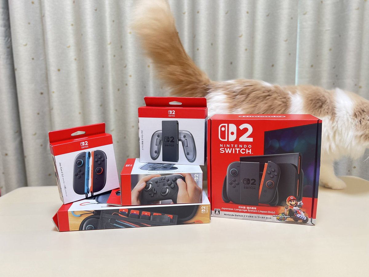 今日はクリスマスですか？

いいえ！

今日はSwitch2の発売日です！！！ 