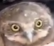 @AMAZlNGNATURE "omg I'm next" 