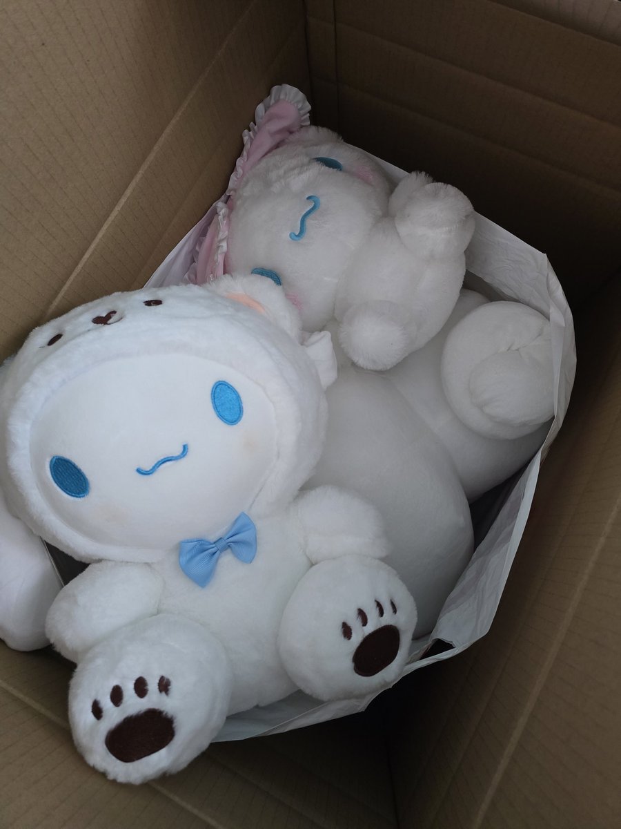 Japan stopped accepting packages to the US so who needs this cinnamon rolls...? 