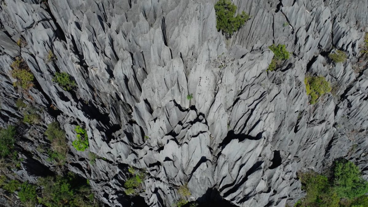 ＼精霊が宿る針山の迷宮⛰️／

去年、世界遺産に新たに登録された、ヒンナムノ国立公園。4億年の歳月が生み出した鋭く尖る岩山の絶景は、地球規模のダイナミックな変化の産物でした。

※番組の都合により休止となる場合があります。

#TBS世界遺産 毎週日曜日18時より放送
https://t.co/ZCK8BjbPbh 