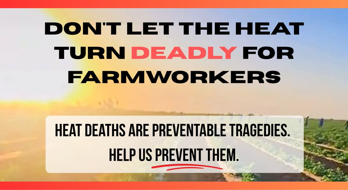 Don't let the heat turn deadly for farm workers. Donations will help us keep doing everything we can to save lives. https://t.co/QmHqmJYtmw.

If you prefer, you can donate by PayPal at https://t.co/88eU2bkBga

#WeFeedYou
#CALOR 