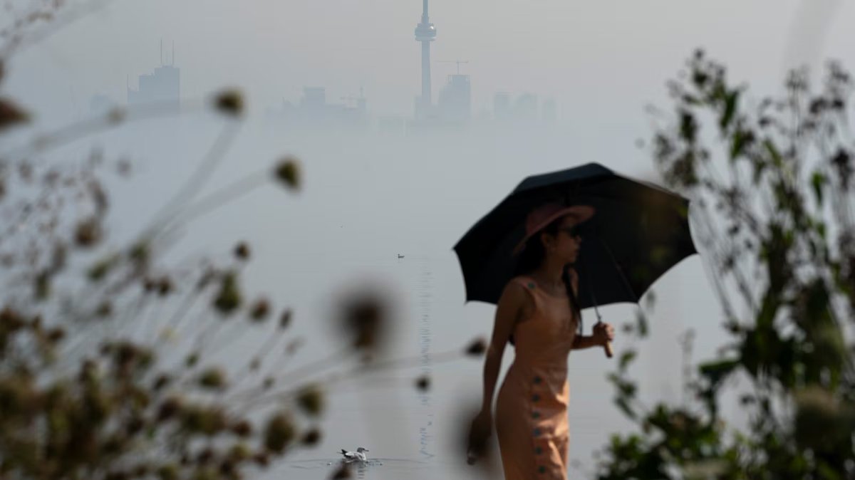 #WEATHER: Here's Toronto’s weather forecast for the rest of the August long weekend https://t.co/w3fl2Upb9u 
