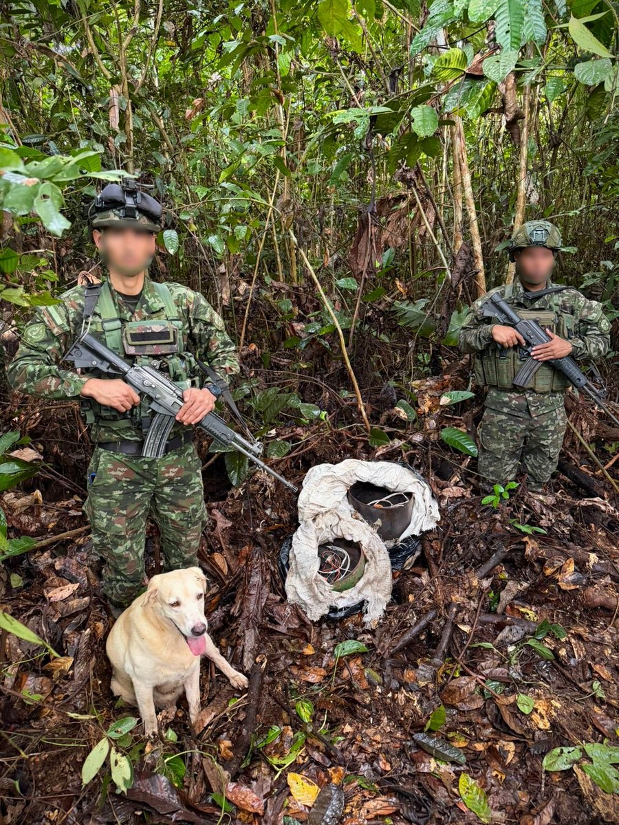 En #Guaviare, tropas del @COL_EJERCITO localizaron un depósito ilegal que contenía 100 kilos de ANFO y material para la fabricación de artefactos explosivos, que pertenecería al grupo armado organizado residual Bloque Jorge Suárez Briceño. De esta manera se evita ataques 