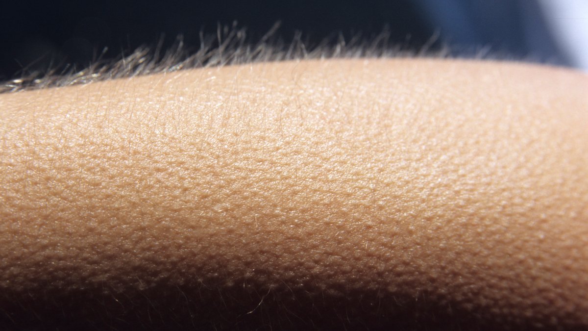 how you'll feel throughout the entirety of #DontLookBackInAnger btw 