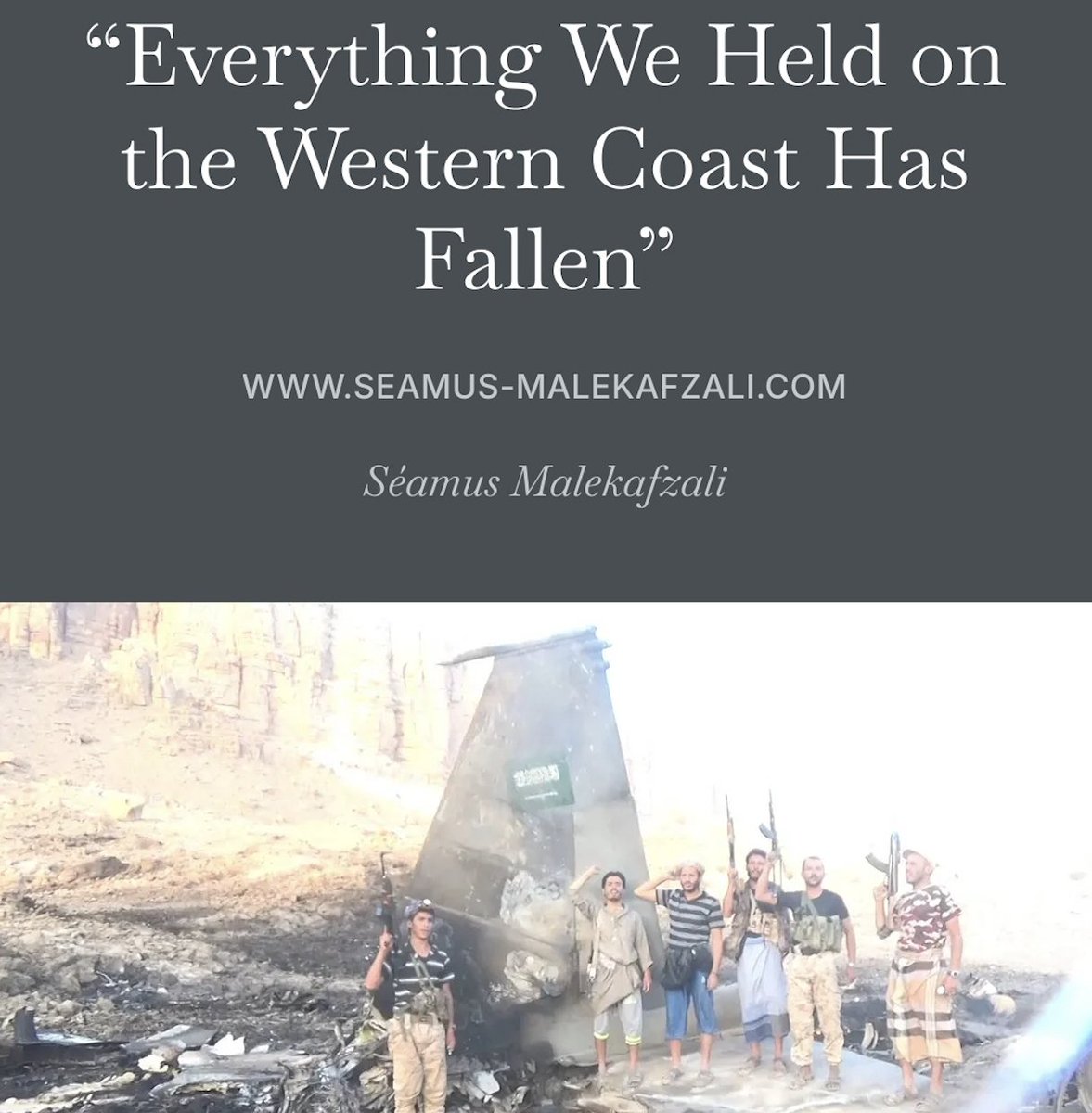 Wrote about the Ansarallah offensive that took over Yemen's western coast, what the global economic effects of a simultaneous closure of the Bab al-Mandab and the Strait of Hormuz could be, and to what extent Israel may get involved to stop further advances.

🔗 in next post. 