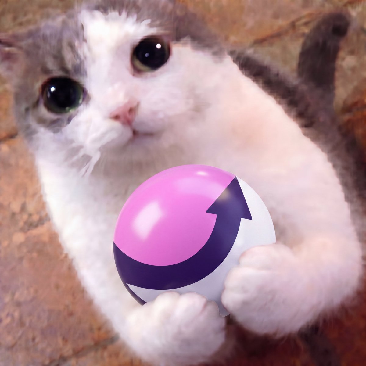 wen moon 