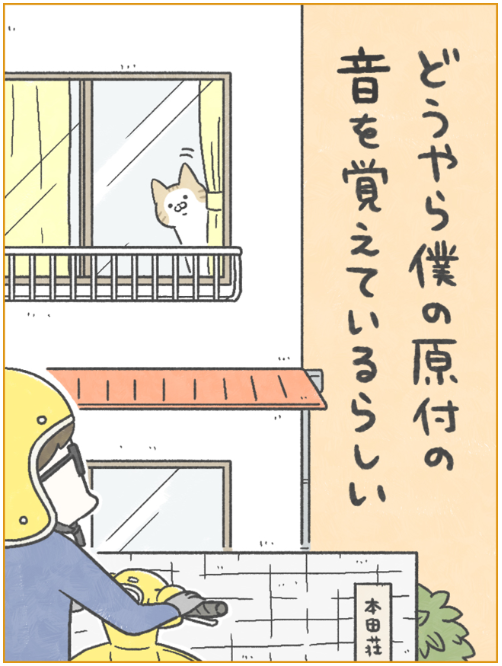 出てくる🐱
卵山玉子 （たまごやま・たまこ）『ネコダ日誌』より
#猫のいる暮らし 