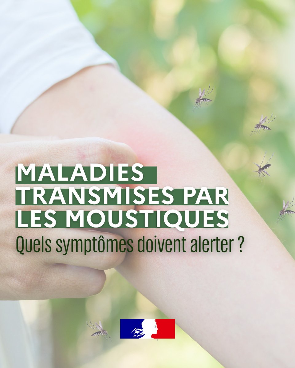 #Moustiques | Quels symptômes doivent vous alerter ?
 
Fièvre, douleurs articulaires, maux de tête, douleurs musculaires, éruption cutanée… certains symptômes peuvent nécessiter une consultation médicale.
🩺 Consultez votre médecin en cas de symptômes. Et si vous êtes malade, 