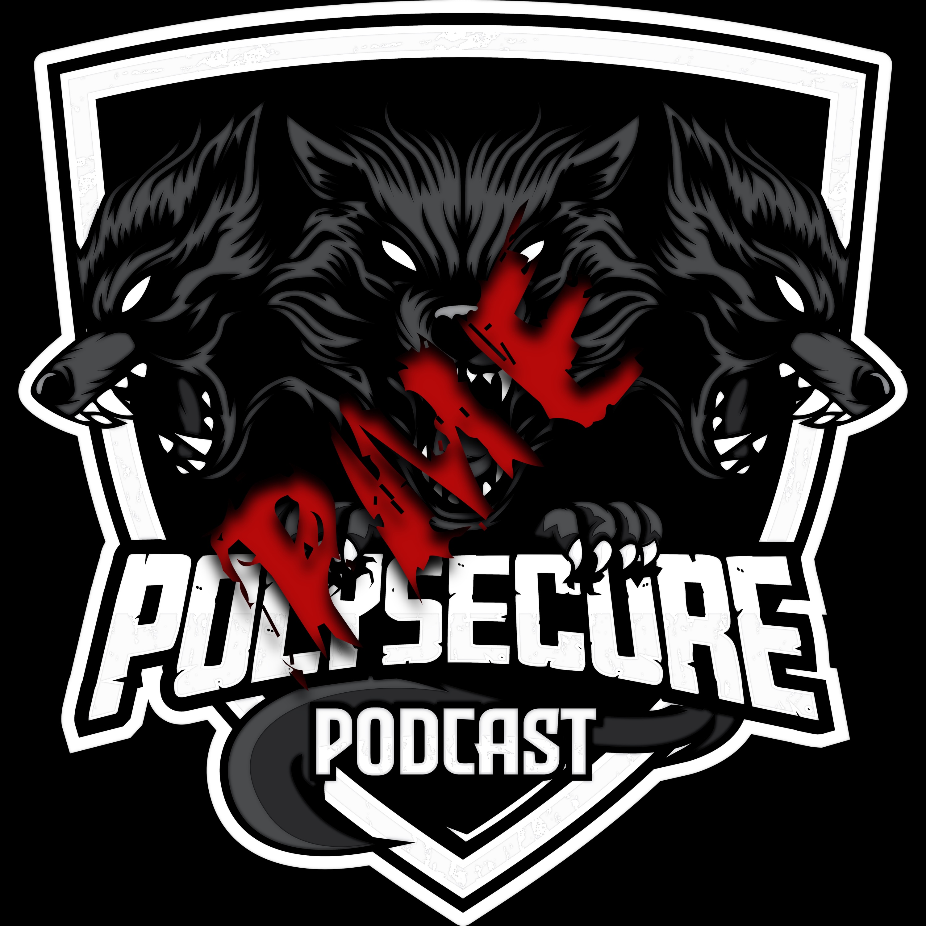 PolySÃ©cure Podcast volet PME