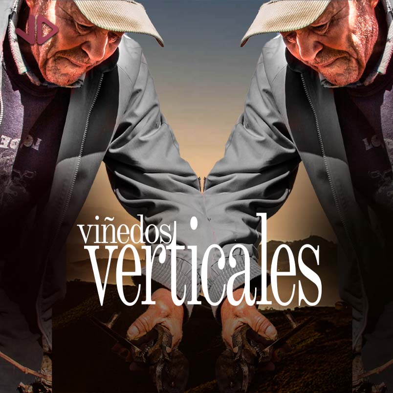 Viñedos Verticales: Rocalima, El Camaleón y Noctiluca (D.O. Sierras de Málaga) – Cata con Vicente Inat