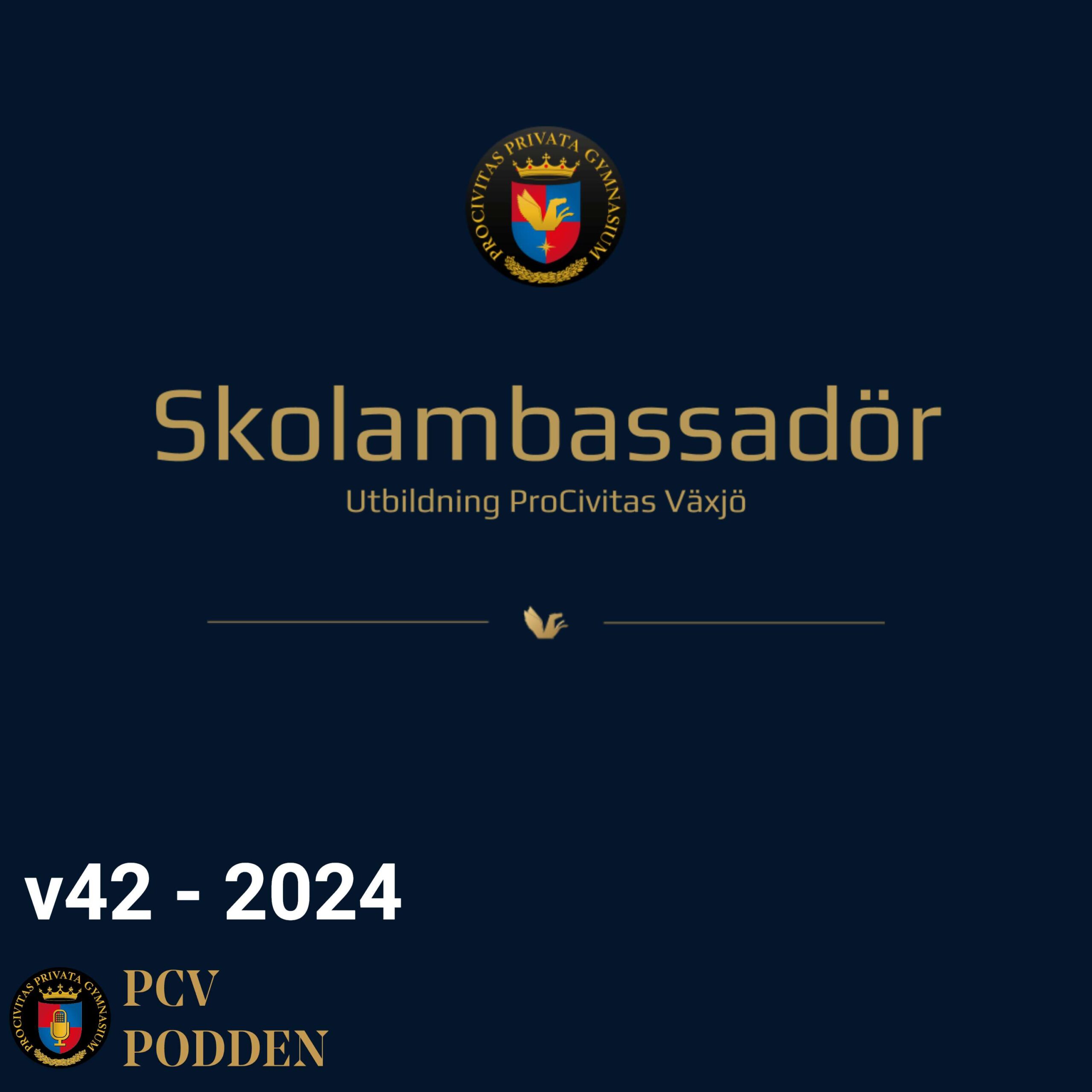 v42 – 2024