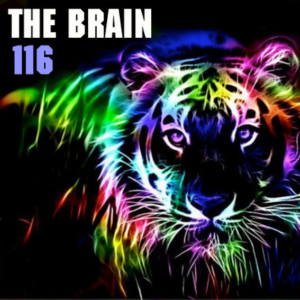 SHOWS #116 – 10 2012