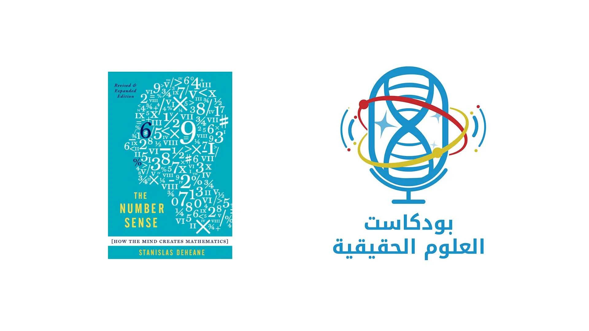 كتاب حاسة الرقم: كيف يصنع العقل الرياضيات