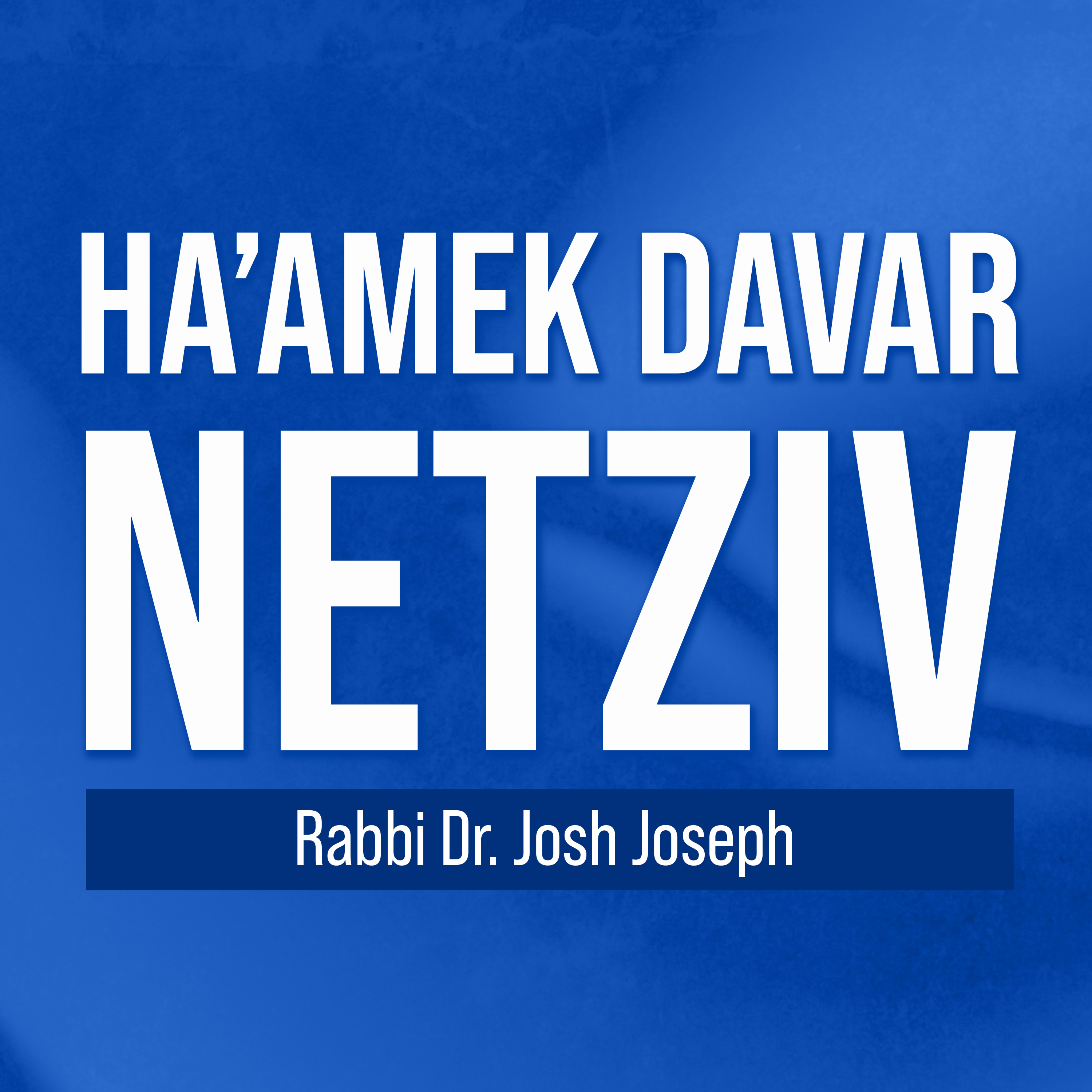 Haâ€™amek Davar - Netziv by Rabbi Dr. Josh Joseph
