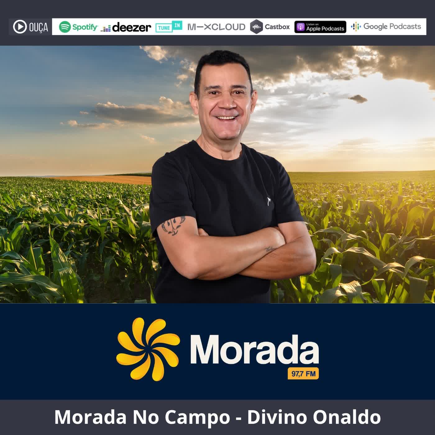 Programa Morada no Campo 28-07-26