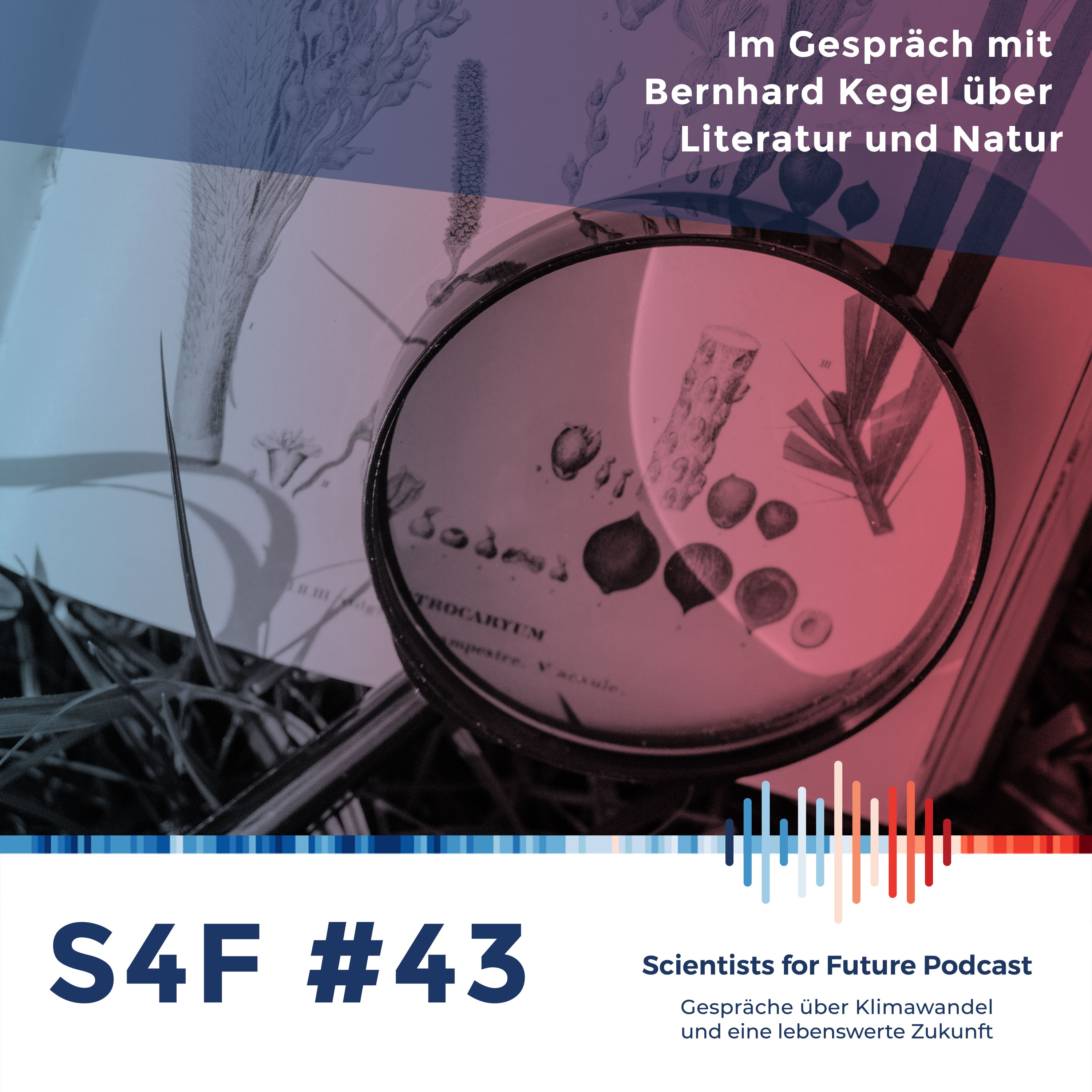 Folge #43 - Evolution und Natur
