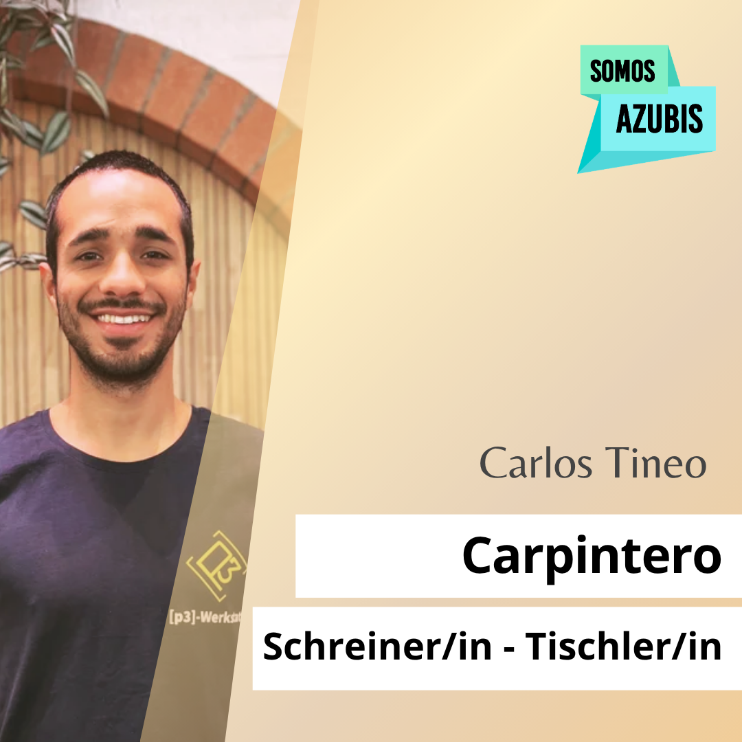 100 Carpintero - Schreiner/in - Tischler/in