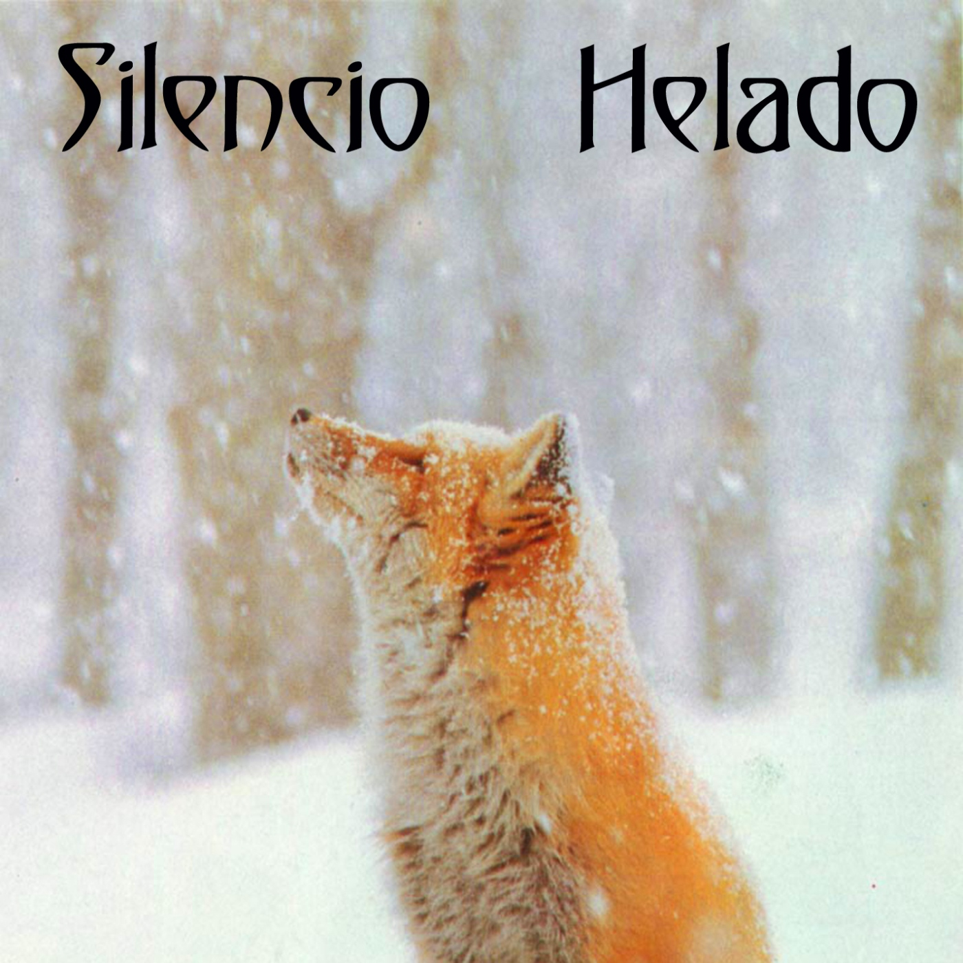 Viento del Norte 24/07/26