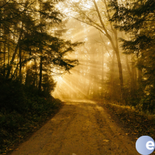The Path Towards God
