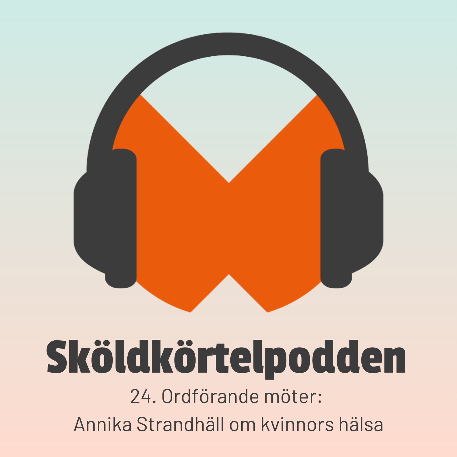 24. Ordförande möter: Annika Strandhäll om kvinnors hälsa