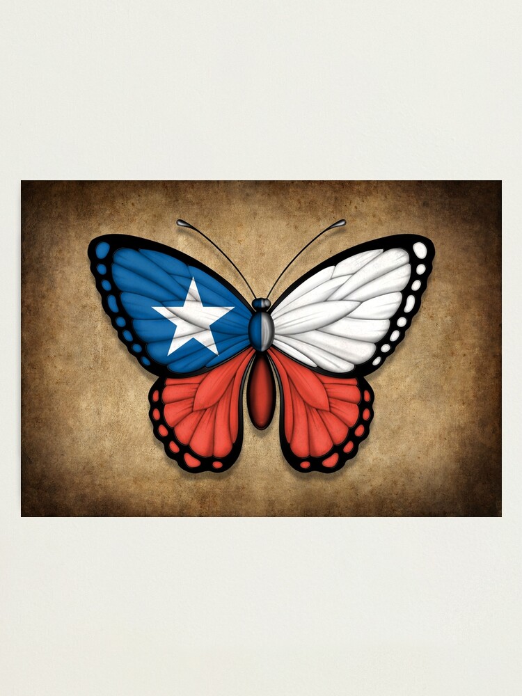 Mariposas Chilenas afsnit 1: Marta Estela Markham