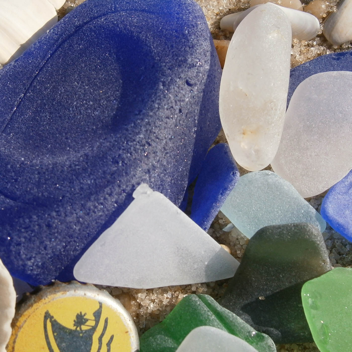 The Jersey Beachcomber's Podcast