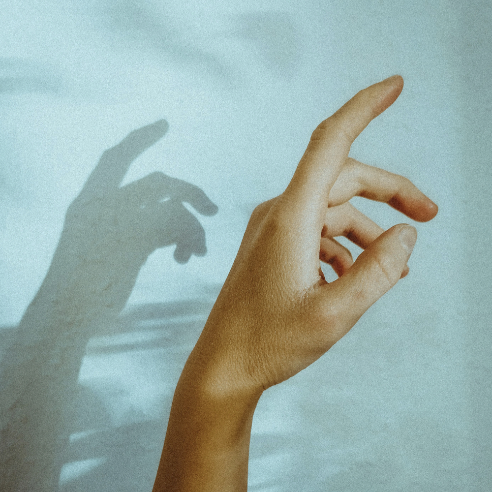 The inner life of the hand
