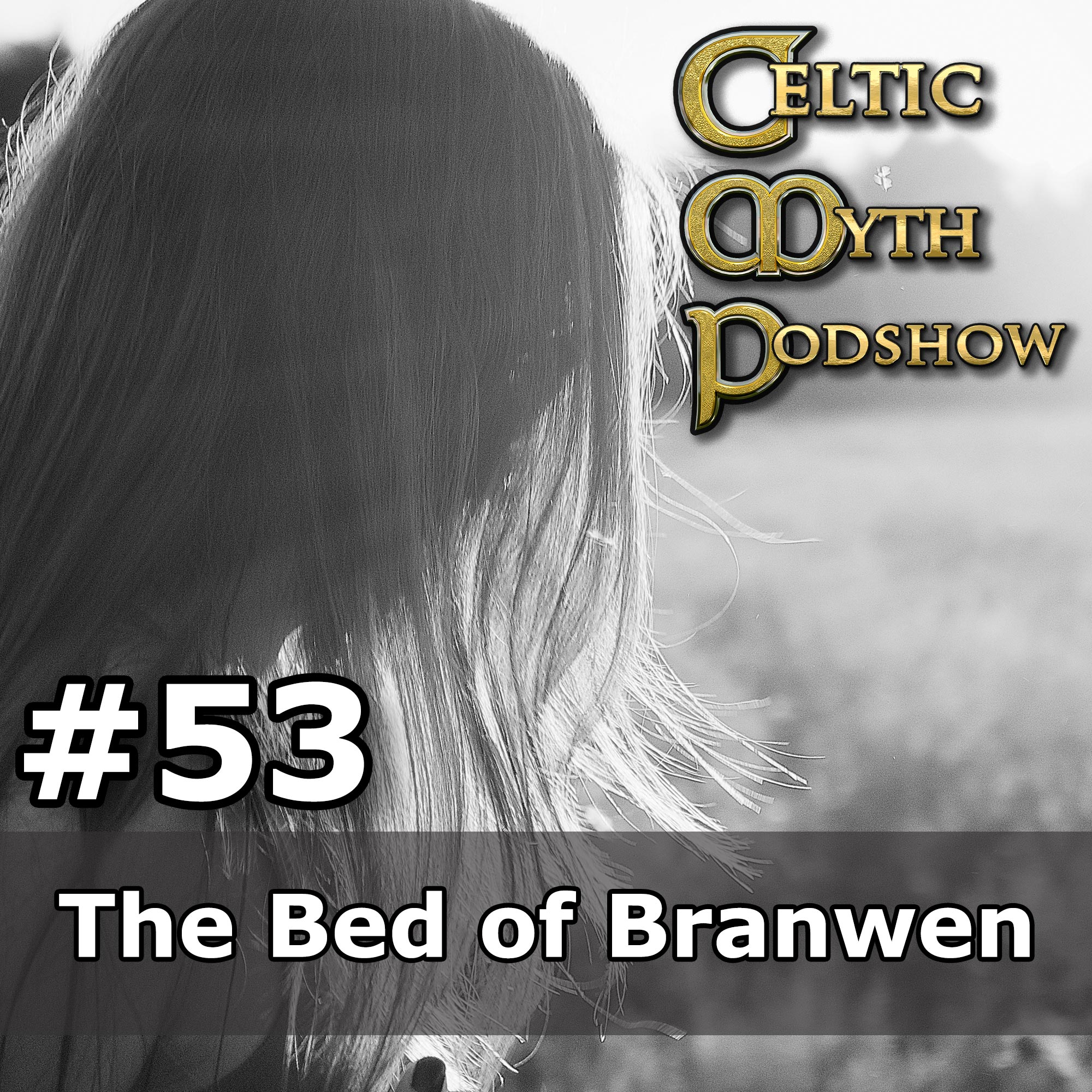 The Bed of Branwen CMP053