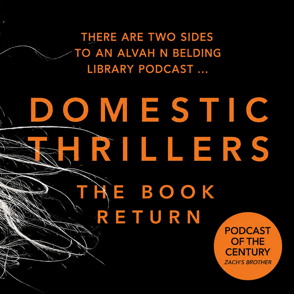 Domestic Thrillers
