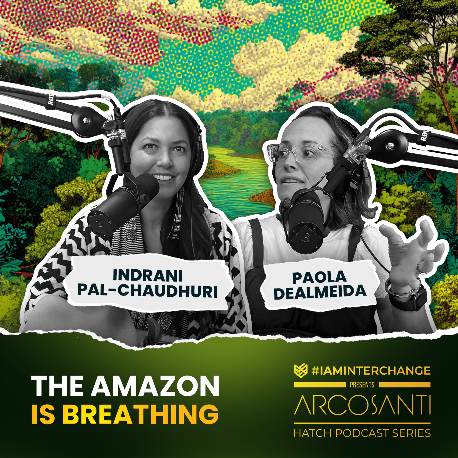 The Amazon is Breathing