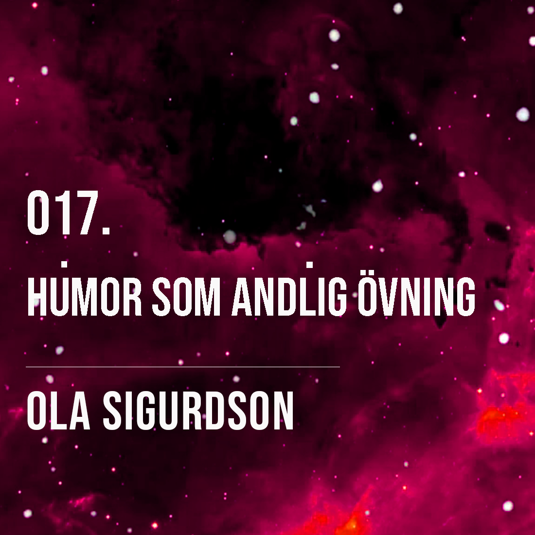 017. Humor som andlig övning.