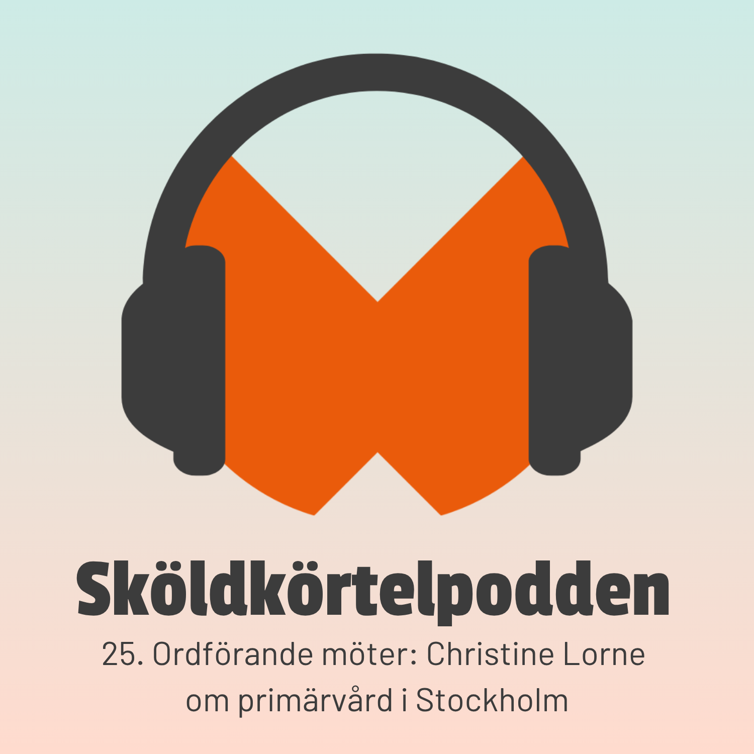 25. Ordförande möter: Christine Lorne om primärvård i Stockholm