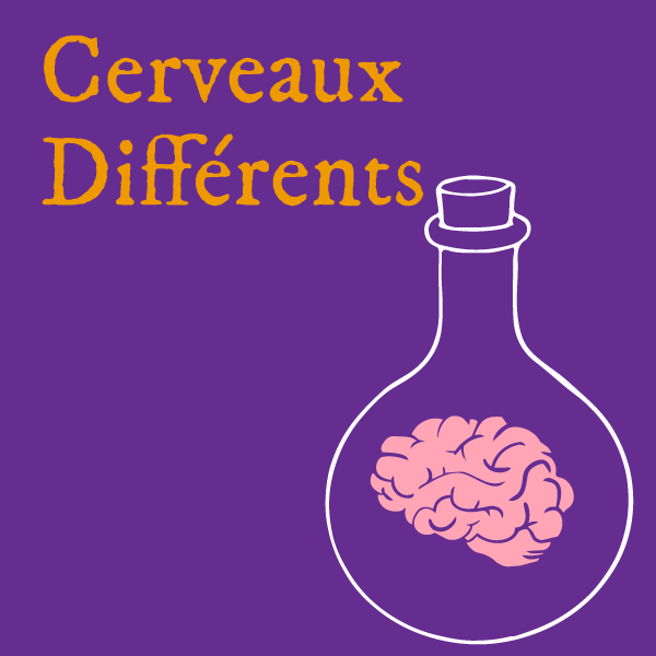Le Réseau du Mode par Défaut chez les neurodivergents
