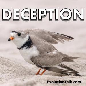 Deception