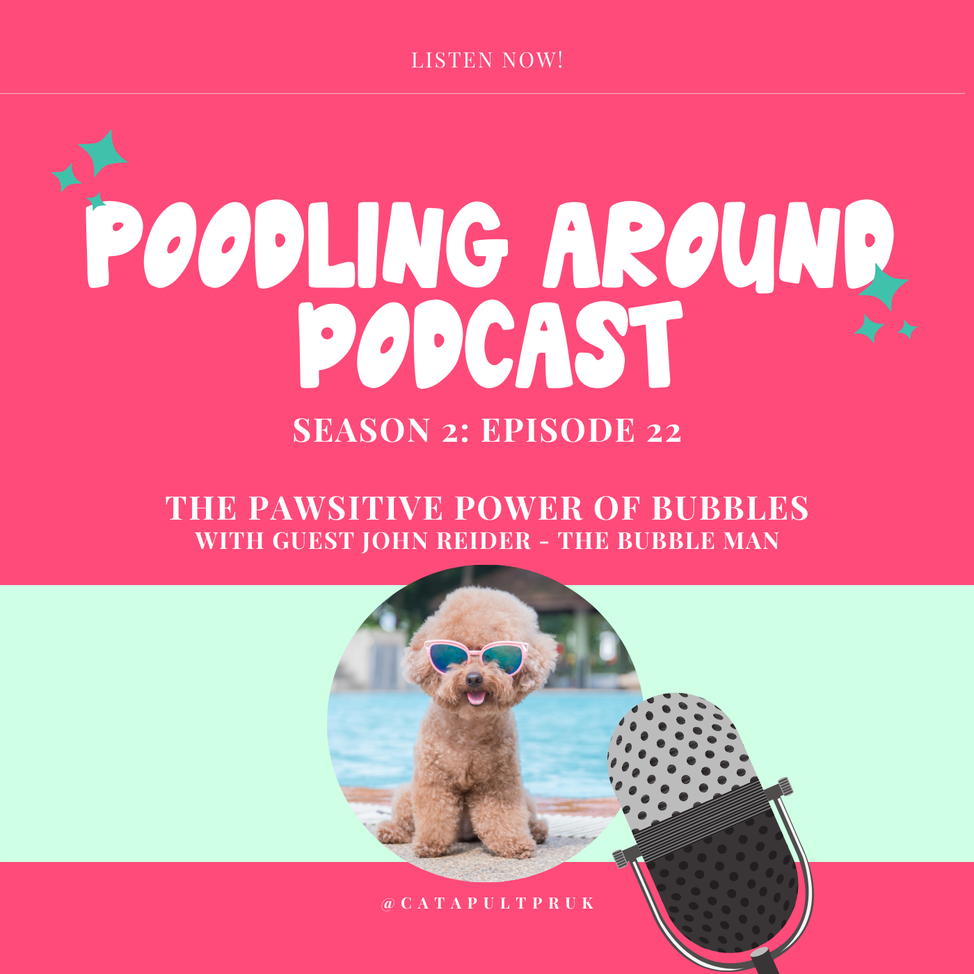 The Pawsitive Power of Bubbles